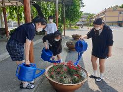 4H 환경봉사 동아리활동 사진